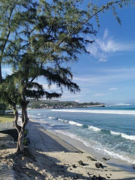 Ferienwohnung Beau T3 Litchi Vue Ocean Piscine Saint-Gilles-les-Bains Exterior foto